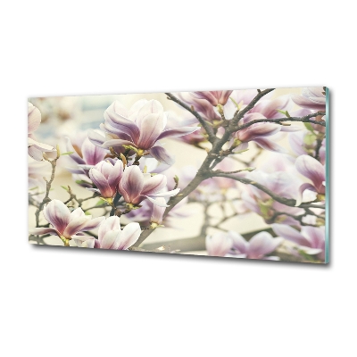 Foto obraz szkło hartowane Magnolia