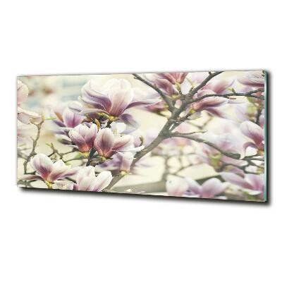 Foto obraz szkło hartowane Magnolia