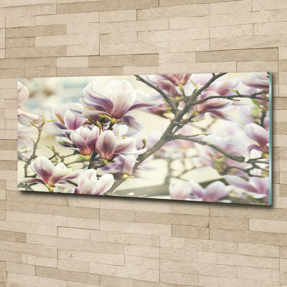 Foto obraz szkło hartowane Magnolia