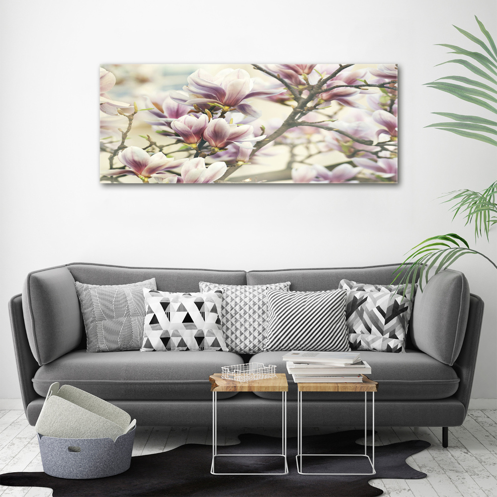 Foto obraz szkło hartowane Magnolia
