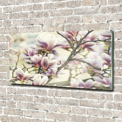 Foto obraz szkło hartowane Magnolia