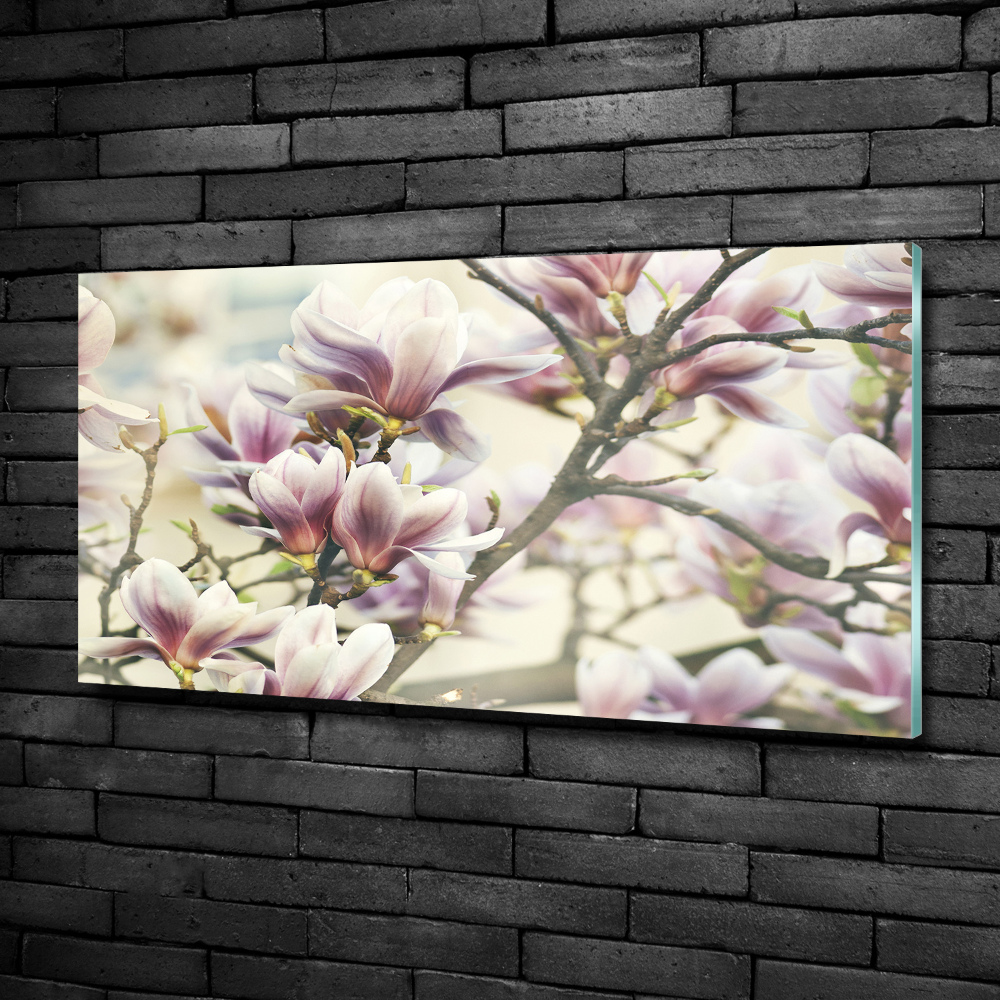 Foto obraz szkło hartowane Magnolia
