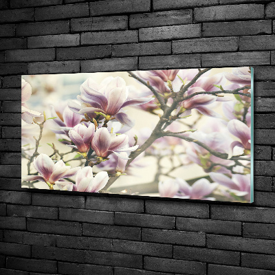 Foto obraz szkło hartowane Magnolia
