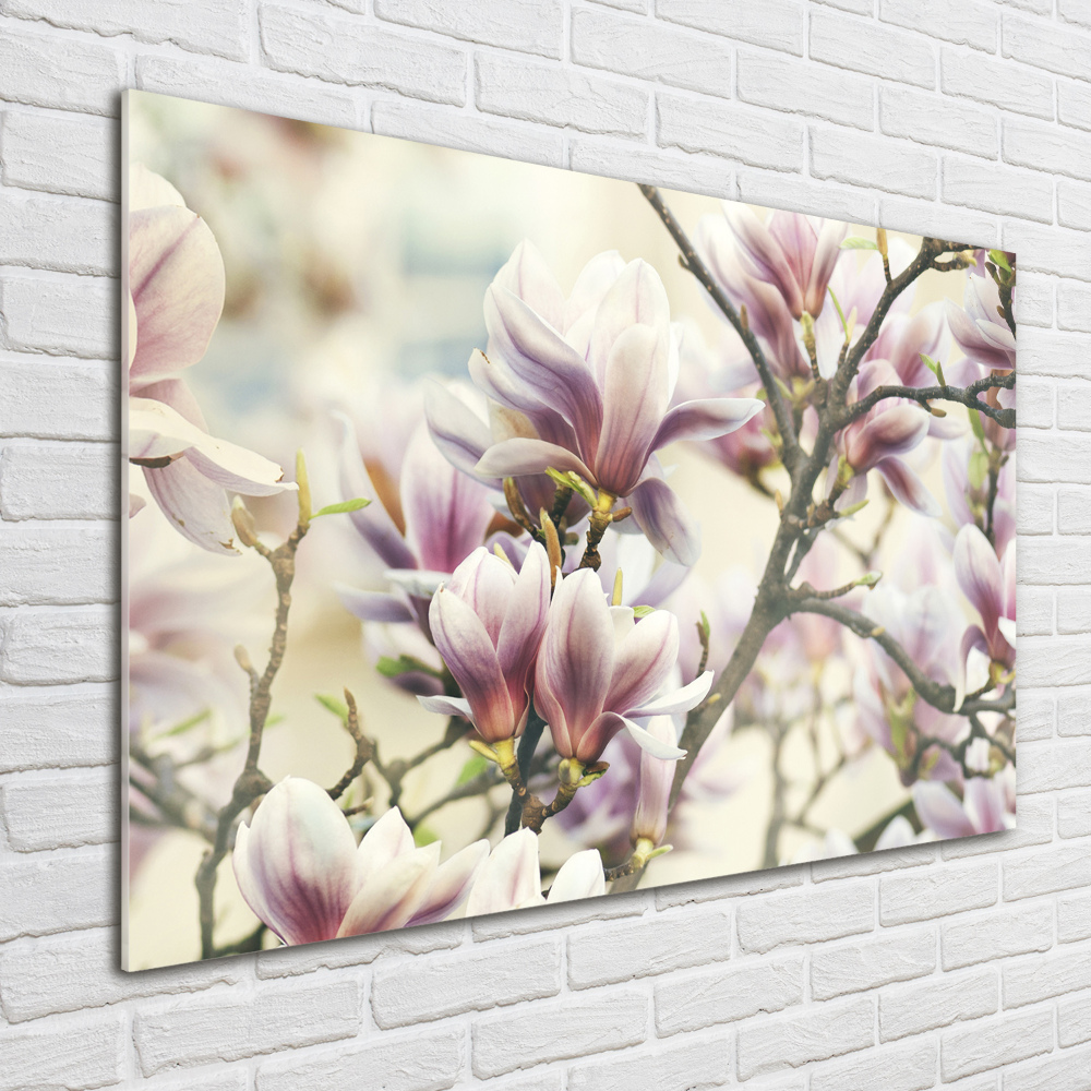 Foto obraz szkło hartowane Magnolia