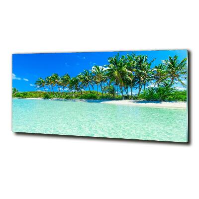 Foto obraz szklany Tropikalna plaża