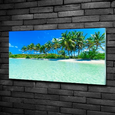 Foto obraz szklany Tropikalna plaża