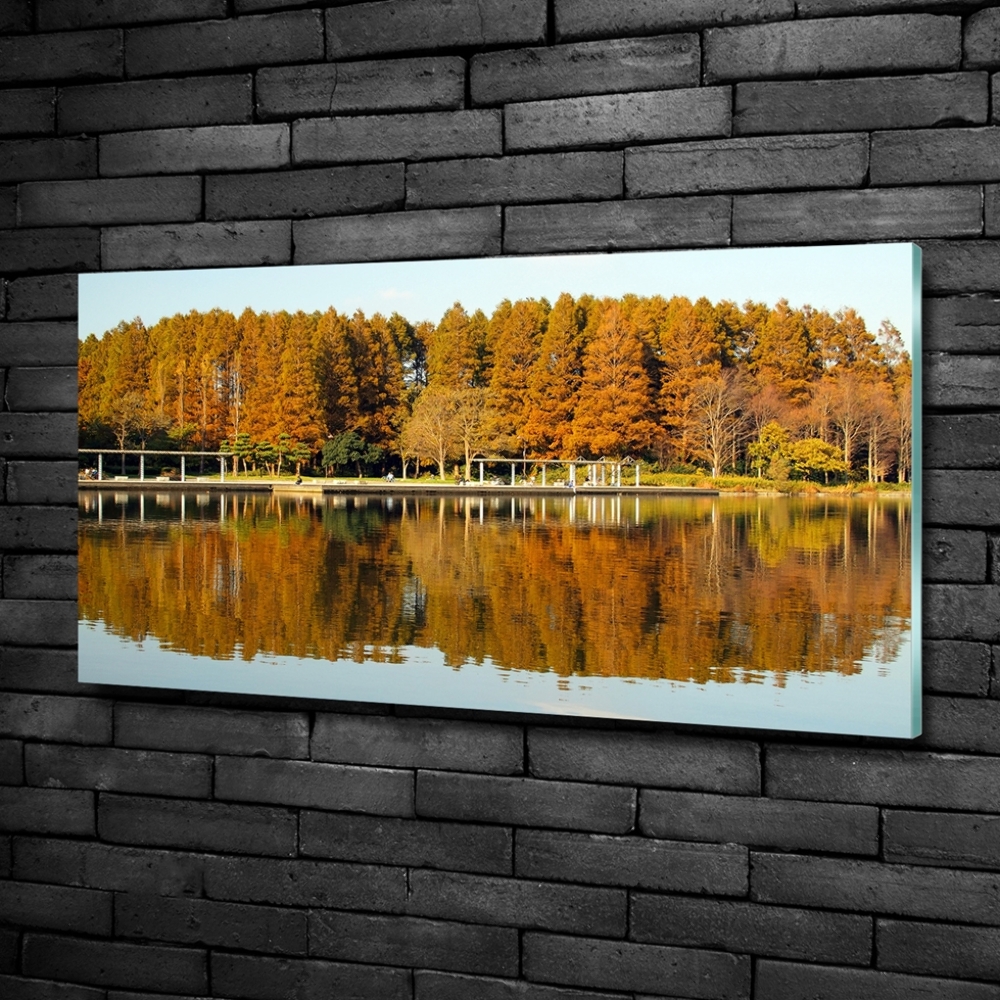 Foto obraz szklany Las nad jeziorem