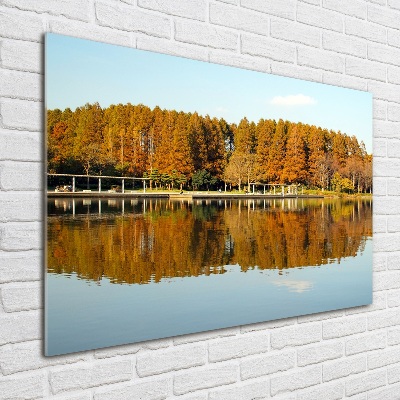 Foto obraz szklany Las nad jeziorem