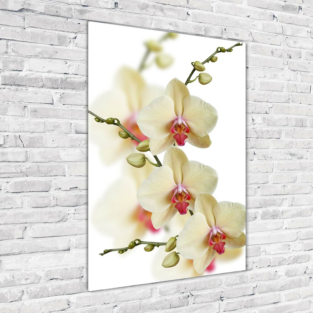 Foto-obraz szkło hartowane pionowy Orchidea