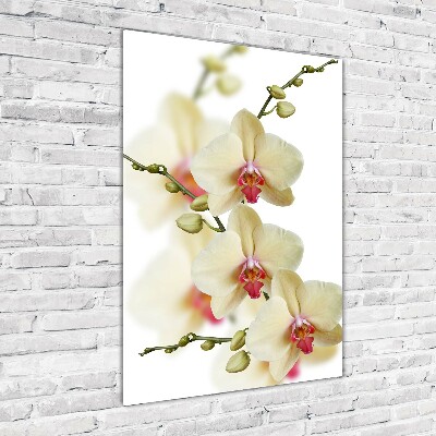 Foto-obraz szkło hartowane pionowy Orchidea