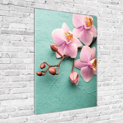 Foto obraz na szkle pionowy Różowa orchidea