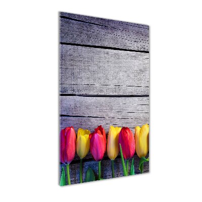 Foto obraz na szkle pionowy Kolorowe tulipany