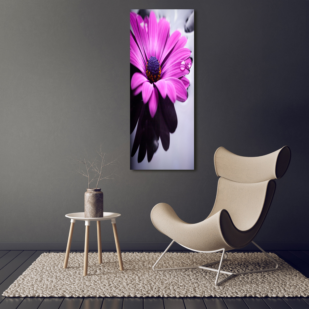 Foto obraz zdjęcie na szkle pionowy Różowa gerbera