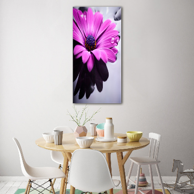 Foto obraz zdjęcie na szkle pionowy Różowa gerbera