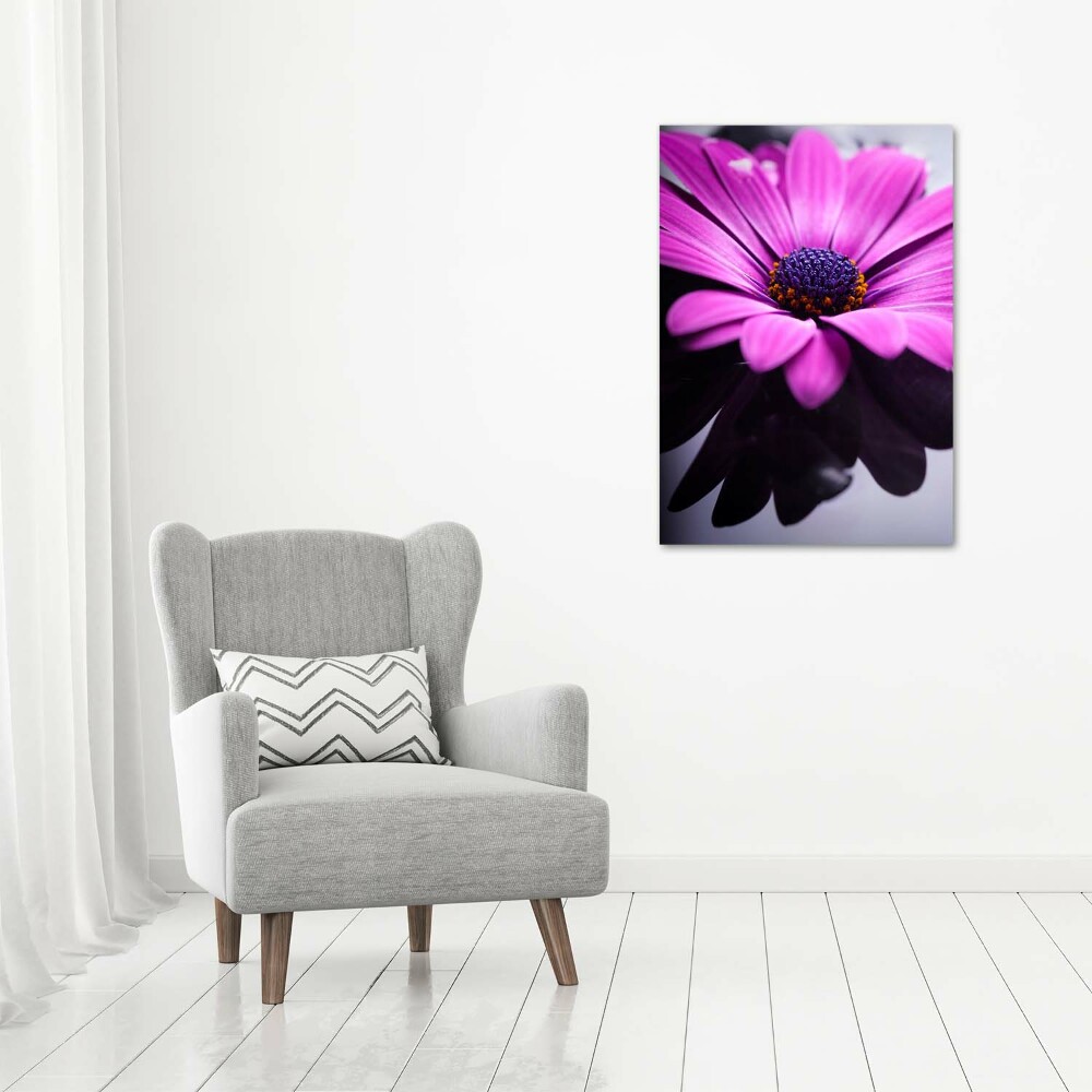 Foto obraz zdjęcie na szkle pionowy Różowa gerbera