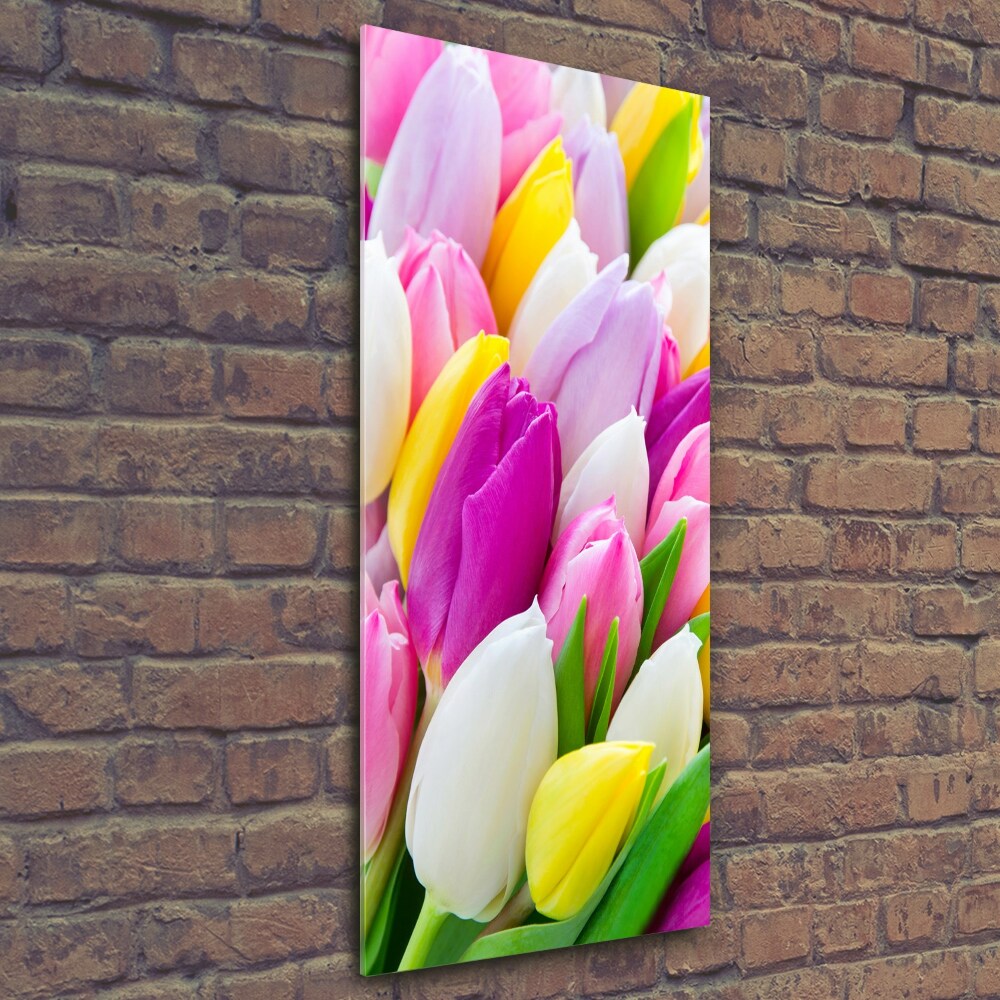 Foto obraz na szkle pionowy Kolorowe tulipany