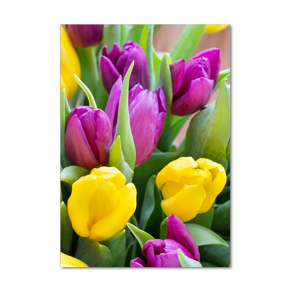 Foto obraz na szkle pionowy Kolorowe tulipany