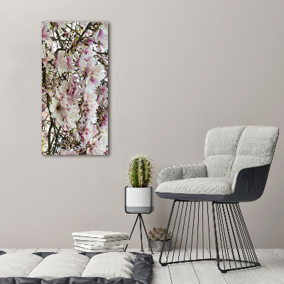 Foto obraz na szkle pionowy Kwiaty magnolii