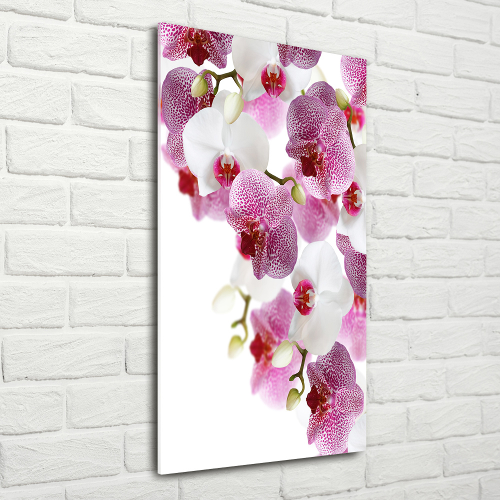 Foto-obraz szkło hartowane pionowy Orchidea