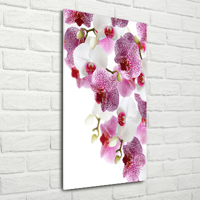 Foto-obraz szkło hartowane pionowy Orchidea