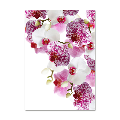 Foto-obraz szkło hartowane pionowy Orchidea