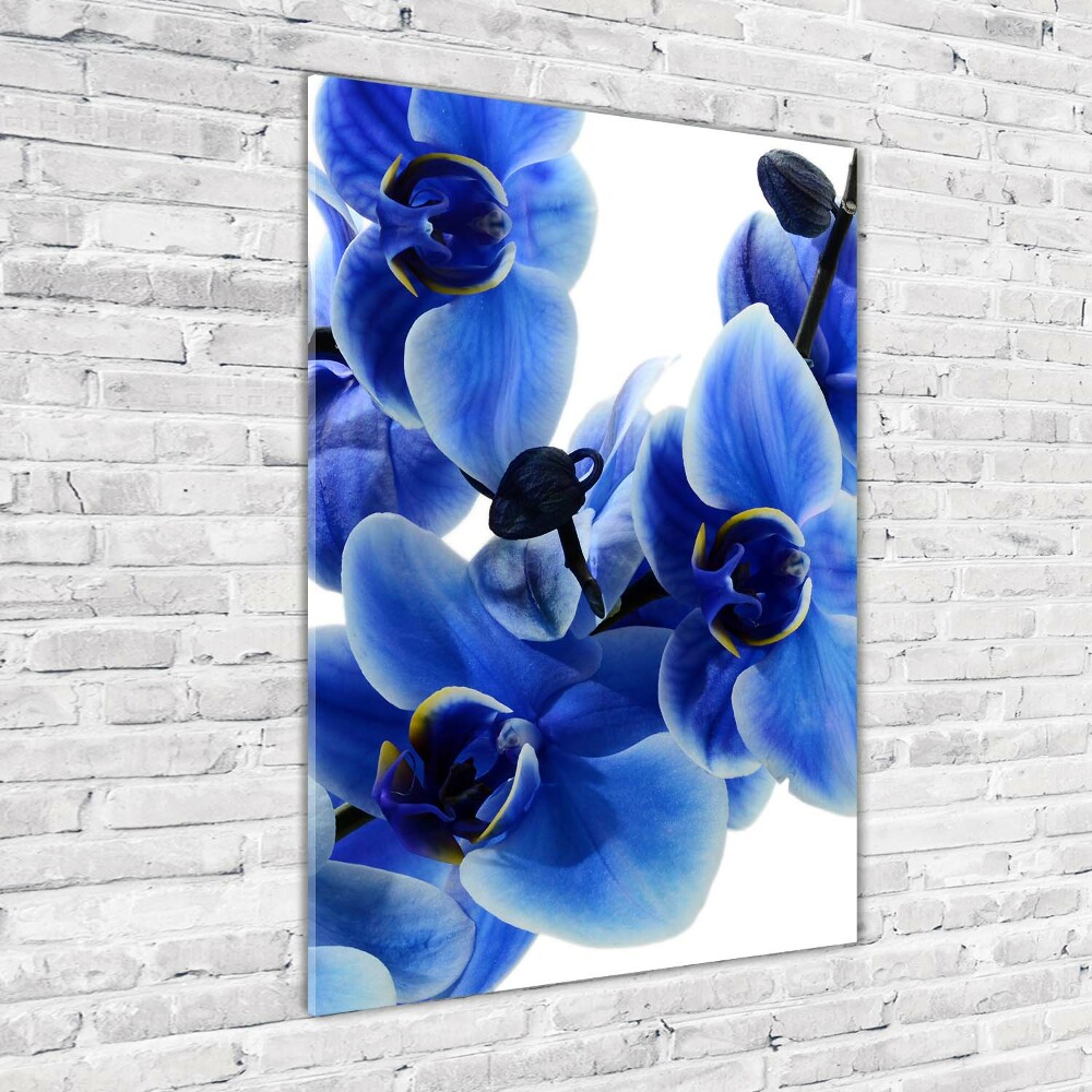 Foto obraz na szkle pionowy Niebieska orchidea