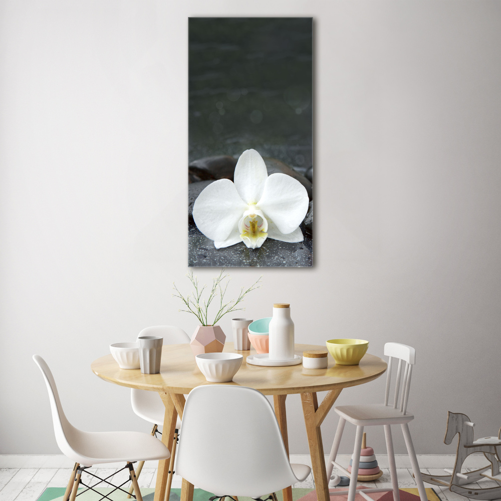 Foto obraz na szkle pionowy Orchidea kamienie