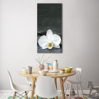 Foto obraz na szkle pionowy Orchidea kamienie