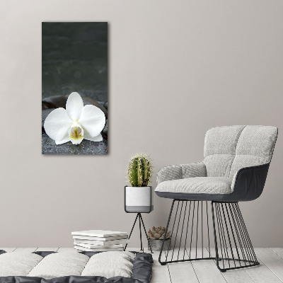 Foto obraz na szkle pionowy Orchidea kamienie