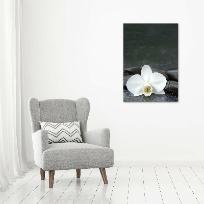 Foto obraz na szkle pionowy Orchidea kamienie