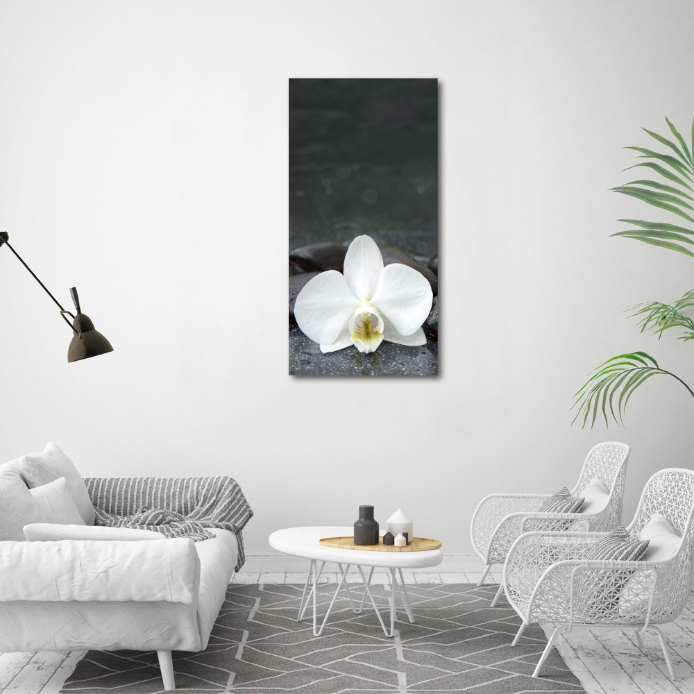 Foto obraz na szkle pionowy Orchidea kamienie