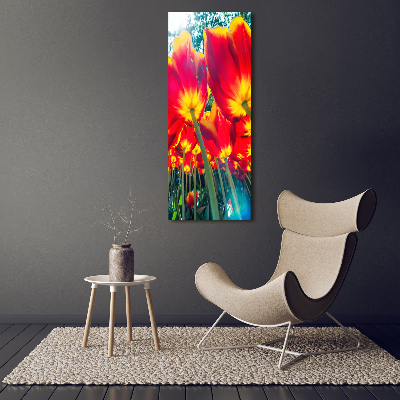 Foto obraz na szkle pionowy Czerwone tulipany