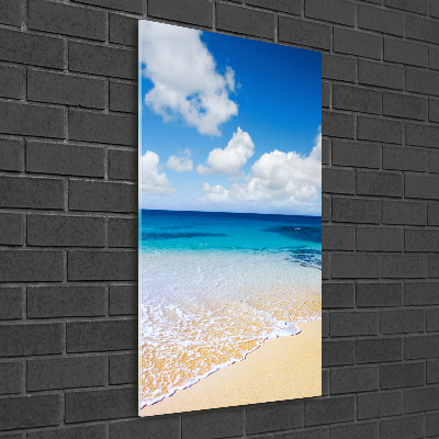 Foto obraz szklany pionowy Tropikalna plaża