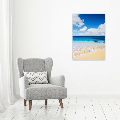 Foto obraz szklany pionowy Tropikalna plaża