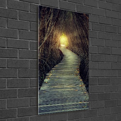 Foto obraz na szkle pionowy Ścieżka w lesie