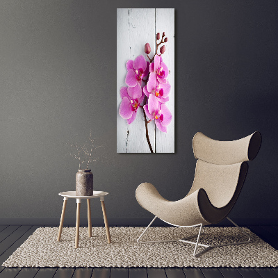 Foto obraz na szkle pionowy Różowa orchidea