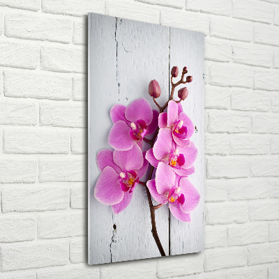 Foto obraz na szkle pionowy Różowa orchidea