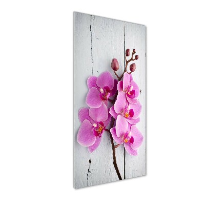 Foto obraz na szkle pionowy Różowa orchidea