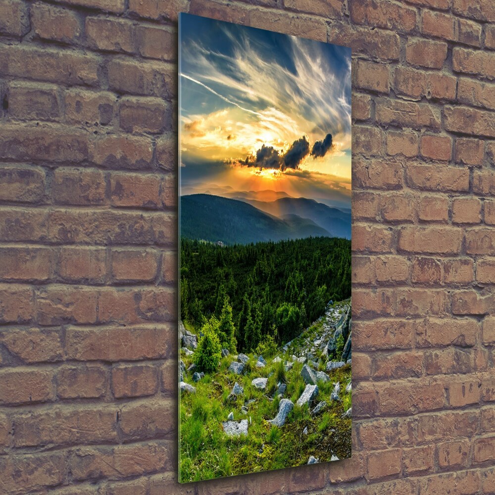 Foto obraz szkło hartowane pionowy Panorama gór