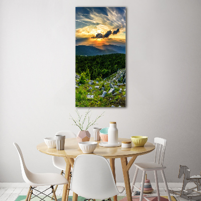 Foto obraz szkło hartowane pionowy Panorama gór