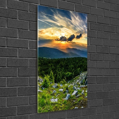 Foto obraz szkło hartowane pionowy Panorama gór