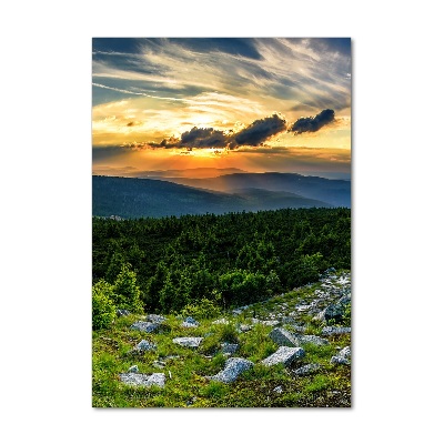 Foto obraz szkło hartowane pionowy Panorama gór