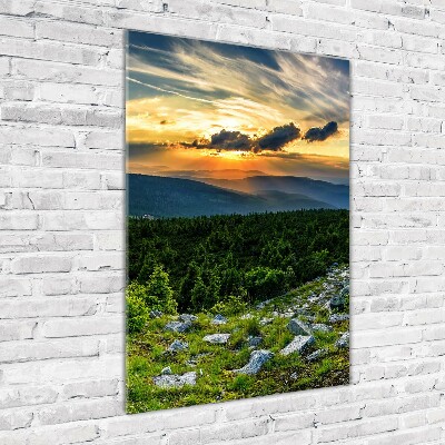 Foto obraz szkło hartowane pionowy Panorama gór