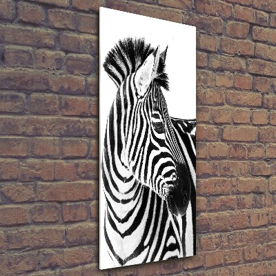 Foto obraz zdjęcie na szkle pionowy Zebra w śniegu