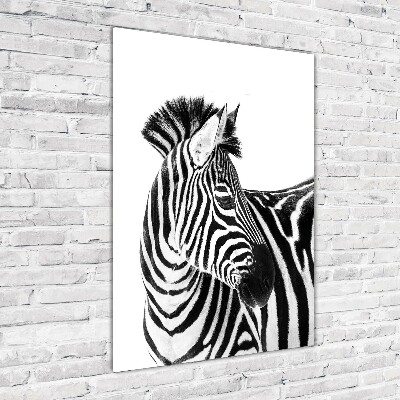 Foto obraz zdjęcie na szkle pionowy Zebra w śniegu