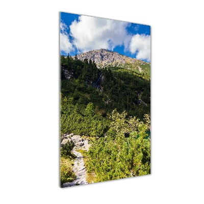Foto obraz na szkle pionowy Morskie oko Tatry