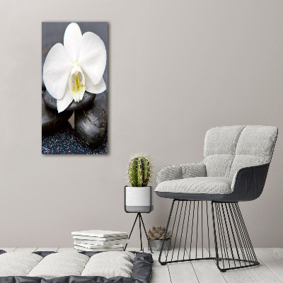 Foto obraz na szkle pionowy Orchidea i kamienie