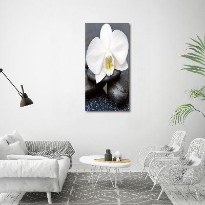 Foto obraz na szkle pionowy Orchidea i kamienie