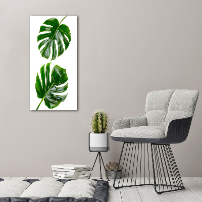 Foto-obraz szkło hartowane pionowy Monstera