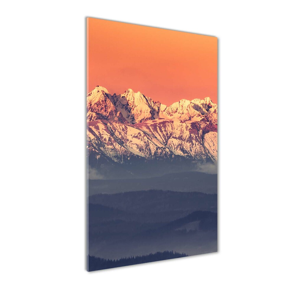 Foto obraz zdjęcie na szkle pionowy Panorama Tatry